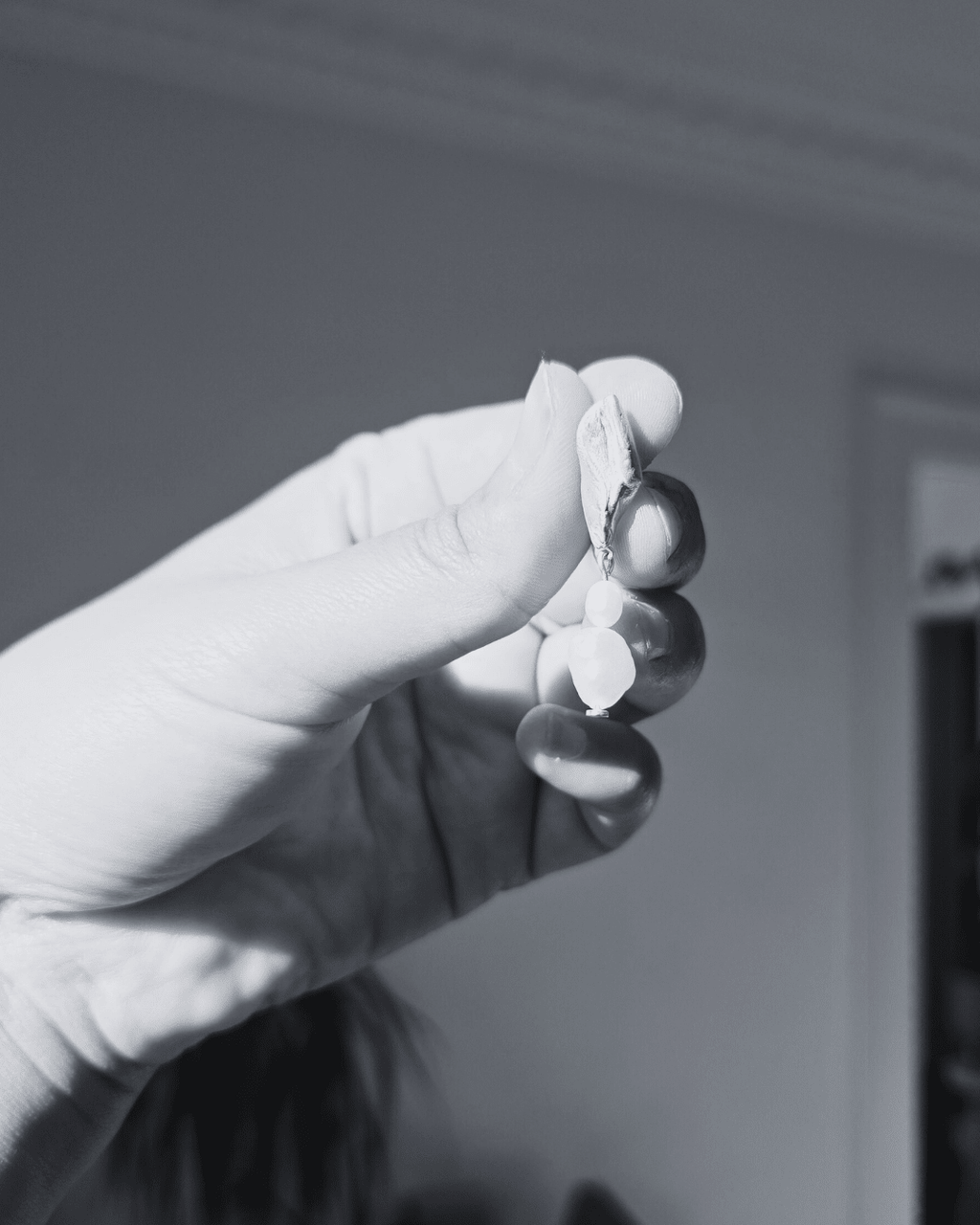 Textured forms Workshop - Soa Rituals